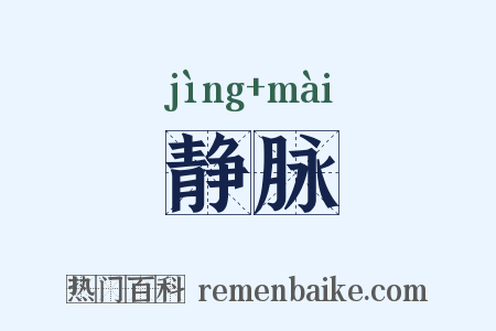 静脉是什么意思的图片